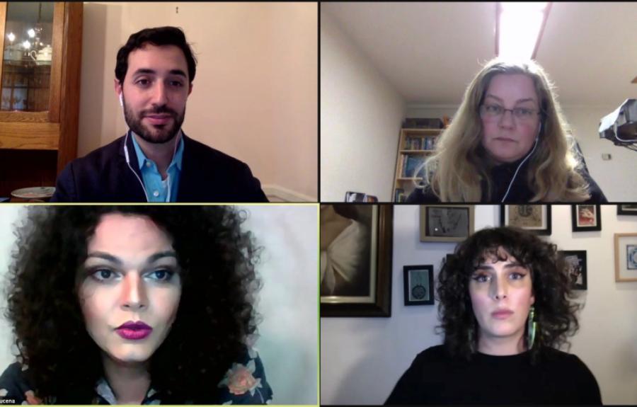 Zoom screen capture of the book talk